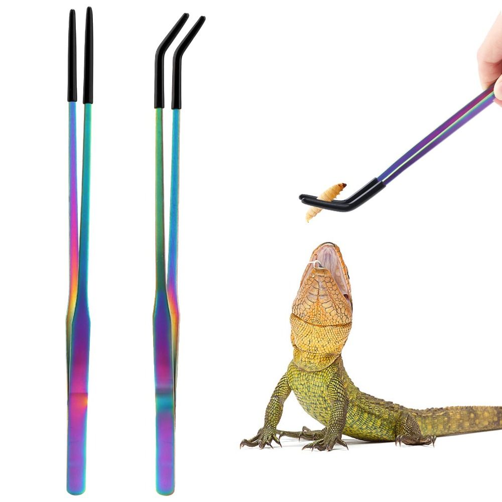 2PCS Stainless Steel Reptile F - Feeding Tong Stainless review and price