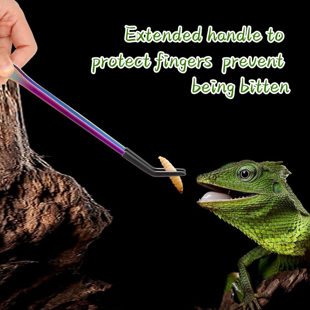 2PCS Stainless Steel Reptile F - Feeding Tong Stainless review and price