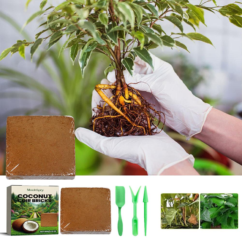 Reptile Coconut Soil Coir Pres - Substrate Coconut Fiber review and price