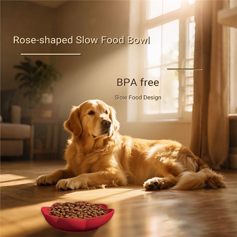 A11E-Pet Supplies Silicone Slo - Royal Canin Food Medium review and price