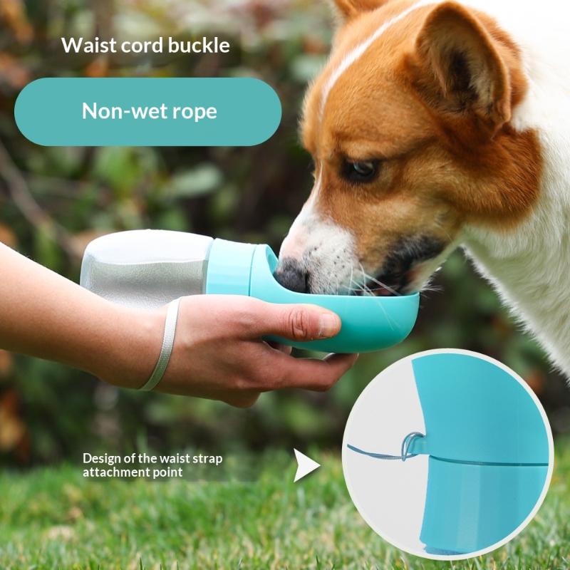 Big Dog Water Bottle Portable  - Royal Canin Food Medium review and price