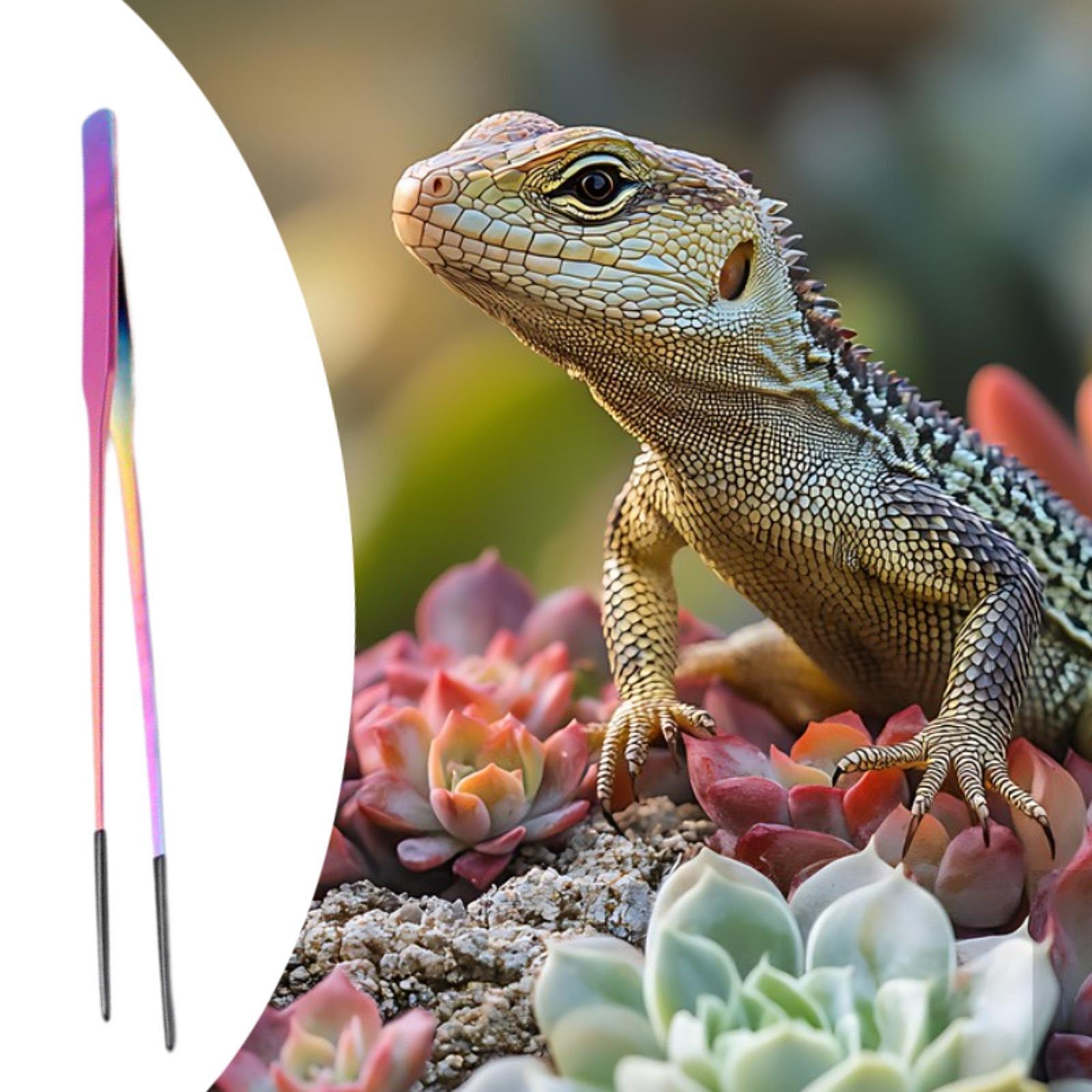 Small Pet Supplies Reptile Fee - Feeding Tong Stainless review and price