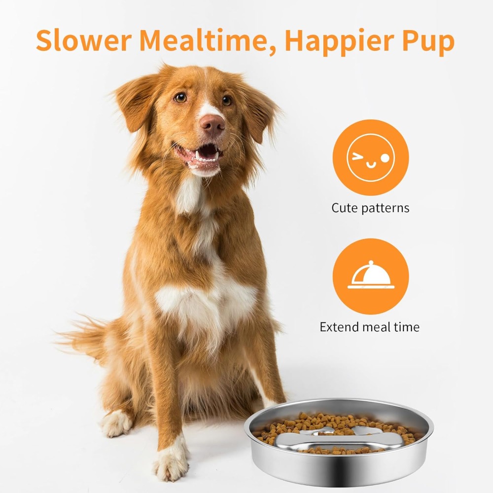 Slow Feeder Dog Bowl Stainless - Royal Canin Food Medium review and price