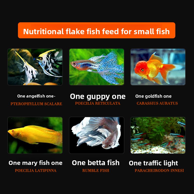 DaJiaWa Spirulina Flake Fish F - Tetra Food Betta Flakes review and price