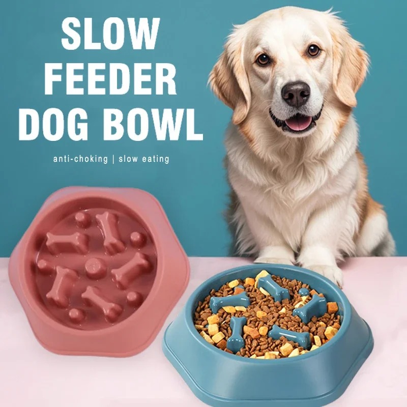 1Pc Slow Feeder Dog Bowl Anti- - Royal Canin Food Medium review and price